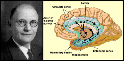 Sistema limbico de james pape